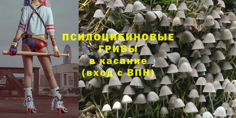 Галлюциногенные грибы MAGIC MUSHROOMS  Сланцы 